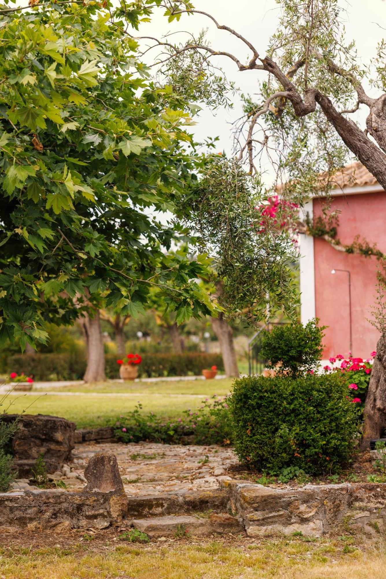 Nemorosa Holiday Houses Méson Yerakaríon Екстериор снимка